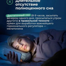 Щитовидная железа — маленький орган с огромным значением.