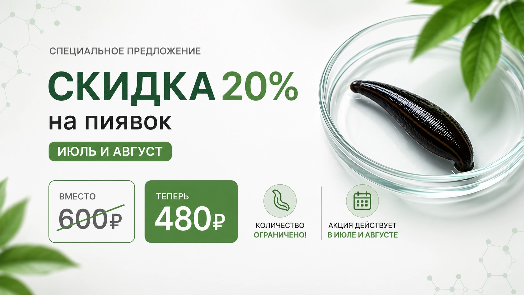 Гирудотерапия